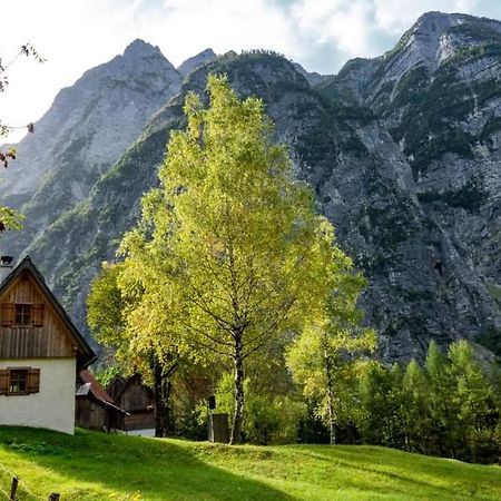 Cottages Kravanja Trenta Εξωτερικό φωτογραφία