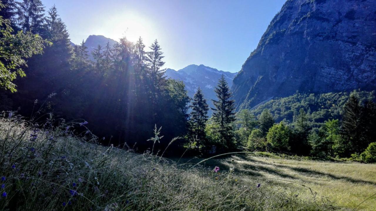 Cottages Kravanja Trenta Εξωτερικό φωτογραφία