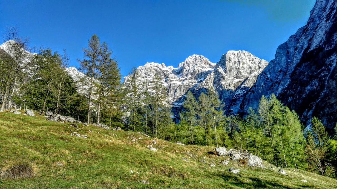 Cottages Kravanja Trenta Εξωτερικό φωτογραφία
