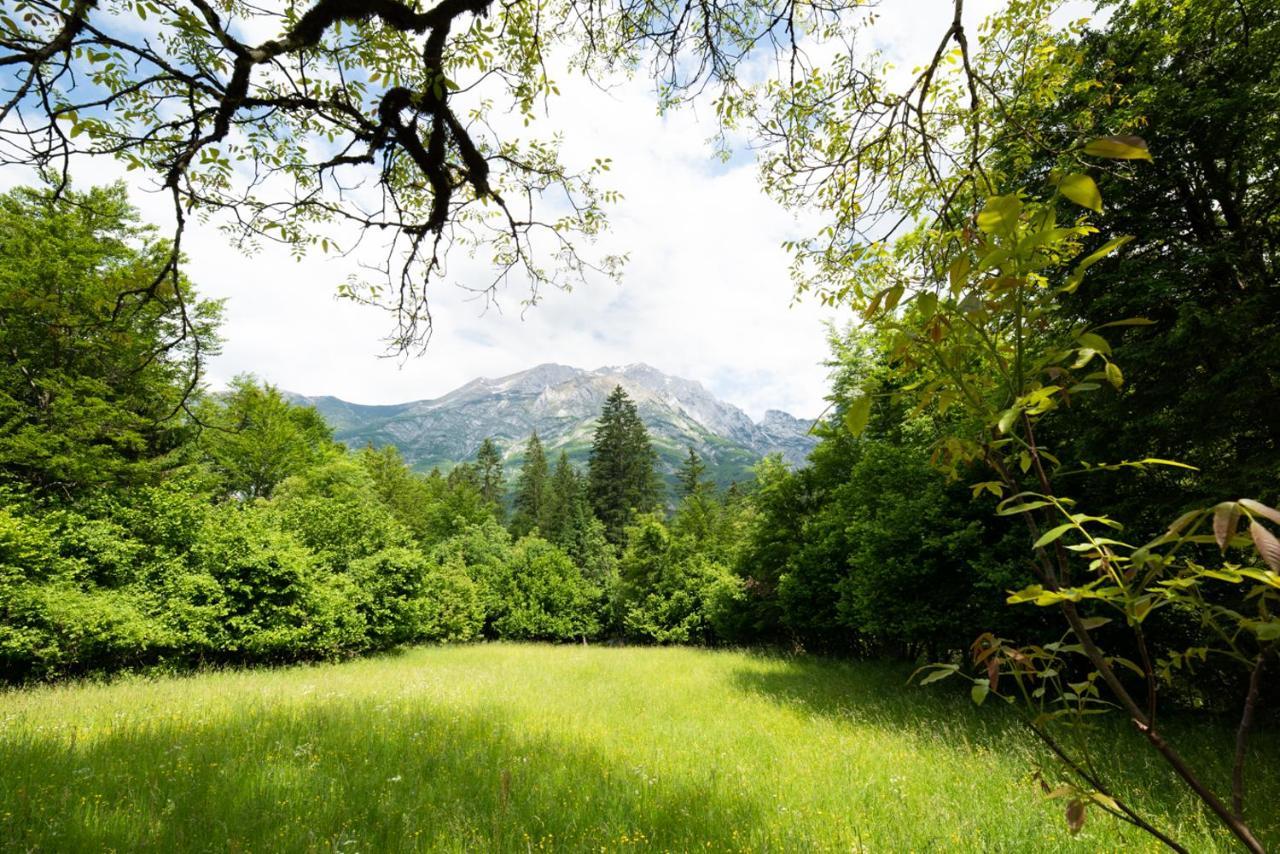 Cottages Kravanja Trenta Εξωτερικό φωτογραφία