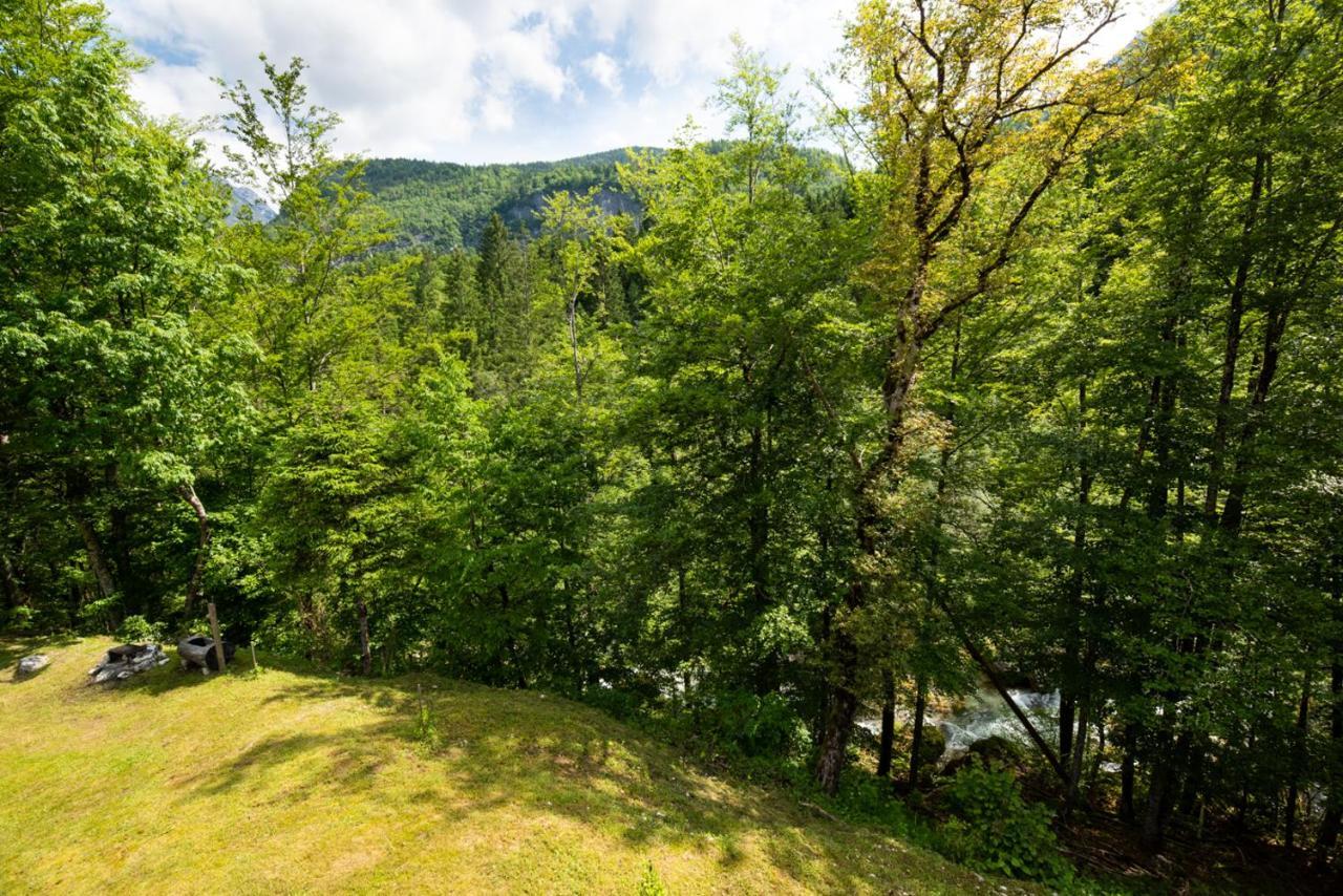 Cottages Kravanja Trenta Εξωτερικό φωτογραφία