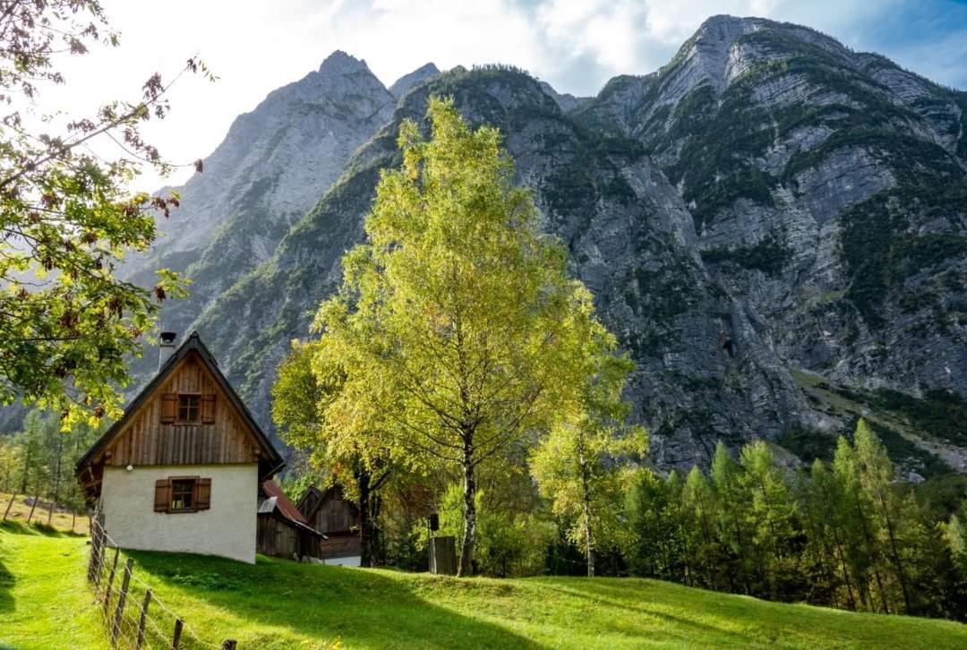 Cottages Kravanja Trenta Εξωτερικό φωτογραφία